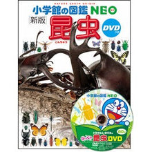 画像をギャラリービューアに読み込む, #昆虫 新版 DVDつき 小学館 :9784092173033