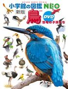 画像をギャラリービューアに読み込む, #小学館 #鳥新版DVDつき恐竜の子孫たち :9784092173057