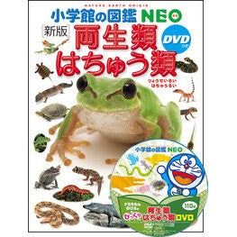 #両生類・はちゅう類 新版 DVDつき --- 小学館 DVD付 新版 両生類・はちゅう類 (小学館の図鑑 NEO) : Amphibians and Rhinoceros New Edition with DVD :9784092173064