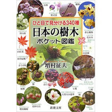 Load image into Gallery viewer, 日本の樹木ポケット図鑑 Masumura Yukuo Pocket encyclopedia of Japanese trees