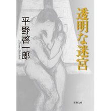 画像をギャラリービューアに読み込む, 透明な迷宮