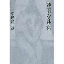 Load image into Gallery viewer, #平野 啓一郎 著 #透明な迷宮 ヒラノケイイチロウ 新潮社 : Written by Keiichiro Hirano transparent labyrinth :9784104260096
