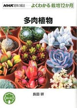 Load image into Gallery viewer, 多肉植物 長田 研 著 オサダケン NHK出版 :9784140402627