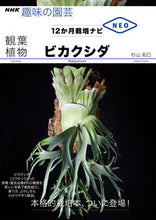 Load image into Gallery viewer, Houseplants: Platycerium by Takumi Sugiyama (NHK Publishing) ISBN: 9784140403037