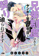 画像をギャラリービューアに読み込む, #赤いシラフ #兄弟制度のあるヤンキー学園で、今日も契り :9784253154932