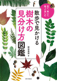 #岩谷美苗 #散歩で見かける樹木の見分け方図鑑