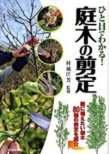 画像をギャラリービューアに読み込む, ひと目でわかる!庭木の剪定 村越 匡芳 監修 ムラコシマサヨシ 池田書店 :9784262136226