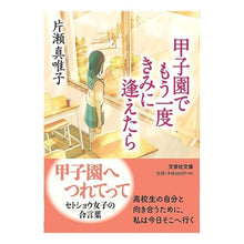 画像をギャラリービューアに読み込む, 甲子園でもう一度きみに逢えたら
