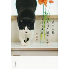 画像をギャラリービューアに読み込む, ハチワレ猫ぽんたと過ごした1114日