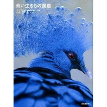Load image into Gallery viewer, #小宮 輝之 監修 #青い生きもの図鑑 コミヤテルユキ 河出書房新社 : Supervised by Teruyuki Komiya Blue creature encyclopedia :9784309253275