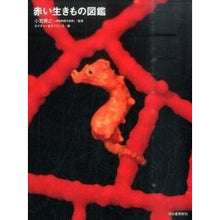 Load image into Gallery viewer, #小宮 輝之 監修 #赤い生きもの図鑑 コミヤテルユキ 河出書房新社 : Supervised by Teruyuki Komiya red creature picture book :9784309253305