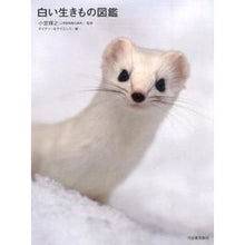 Load image into Gallery viewer, #小宮 輝之 監修 #白い生きもの図鑑 コミヤテルユキ 河出書房新社 : Supervised by Teruyuki Komiya Illustrated encyclopedia of white creatures :9784309253312