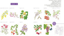 画像をギャラリービューアに読み込む, 大人の塗り絵 樹の花と実編 新装版 河出書房新社 河出書房新社 :9784309718095