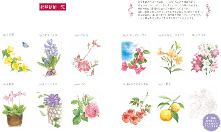 KAWADE 河出書房新社 塗り絵 ・ やさしい大人の塗り絵 庭に咲く花編 ぬりえ ぬり絵 介護 ディズニー 鳥 花 風景 ふるさと スケジュール帳 手帳のタイムキーパー :9784309719245
