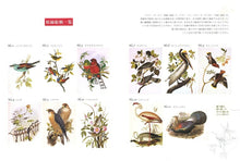 画像をギャラリービューアに読み込む, KAWADE 河出書房新社 塗り絵 ・ 大人の塗り絵 世界の鳥編 新装版 ぬりえ ぬり絵 介護 ディズニー 鳥 花 風景 ふるさと スケジュール帳 手帳のタイムキーパー :9784309719580