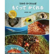 Load image into Gallery viewer, もぐってかくれる ハマグリ・メガネウオ・