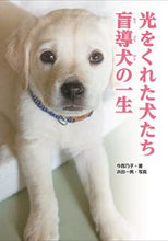 Load image into Gallery viewer, 光をくれた犬たち 盲導犬の一生 今西 乃子 著 イマニシノリコ 金の星社 :9784323060941