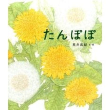 Load image into Gallery viewer, たんぽぽ