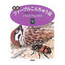 画像をギャラリービューアに読み込む, シデムシとゾウムシのなぞ