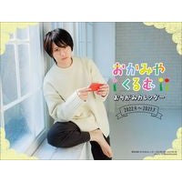 Load image into Gallery viewer, 岡宮来夢おりがみカレンダー 2022年4月~2023年3月