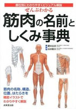 画像をギャラリービューアに読み込む, #肥田 岳彦 #ぜんぶわかる 筋肉の名前としくみ事典 : ヒダタケヒコ : An easy-to-understand encyclopedia of muscle names and mechanisms : Hidatakehiko : 9784415310008