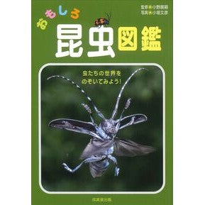 #小野展嗣 #おもしろ昆虫図鑑 オノヒロツグ ●成美堂出版(実用) :9784415335650