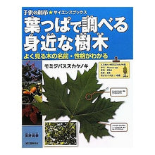 画像をギャラリービューアに読み込む, 葉っぱで調べる身近な樹木 よく見る木の名