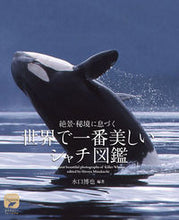 画像をギャラリービューアに読み込む, #水口博也 #世界で一番美しいシャチ図鑑