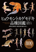 Load image into Gallery viewer, #ShotaNakagawa #LeopardGeckoMorphGuide