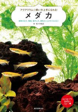 画像をギャラリービューアに読み込む, #佐々木 浩之 #メダカ 飼育の仕方、環境、殖やし方、病気 : ササキヒロユキ : Medaka How to raise, environment, breeding, diseases : Sasakihiroyuki : 9784416618059