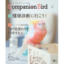 Load image into Gallery viewer, Companion Bird 31