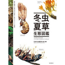 Load image into Gallery viewer, 冬虫夏草生態図鑑