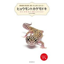 画像をギャラリービューアに読み込む, ヒョウモントカゲモドキ 育て方、食べ物、