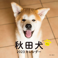 Load image into Gallery viewer, #酒巻洋子写真 #カレンダー’23秋田犬