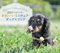 Load image into Gallery viewer, #ToshihikoIgawaPhoto #MiniCalendar'23CuteMiniatures