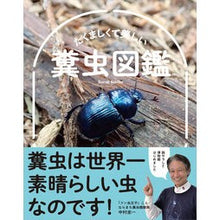 画像をギャラリービューアに読み込む, たくましくて美しい 糞虫図鑑