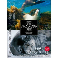 画像をギャラリービューアに読み込む, 世界で一番美しいアシカ・アザラシ図鑑