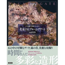 画像をギャラリービューアに読み込む, 花束の石プルーム・アゲート
