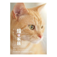 画像をギャラリービューアに読み込む, 猫は家族 きなちゃんとダンくんが私に教え Cats are family, Kina-chan and Dan-kun taught me