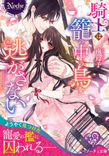 画像をギャラリービューアに読み込む, #南玲子 #騎士は籠の中の鳥を逃がさない