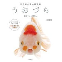 画像をギャラリービューアに読み込む, 世界初の魚の顔図鑑 うおづら