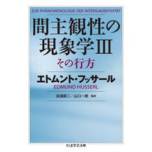 画像をギャラリービューアに読み込む, 間主観性の現象学 3 その行方