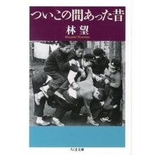Load image into Gallery viewer, ついこの間あった昔 Nozomi Hayashi