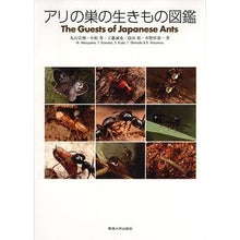 画像をギャラリービューアに読み込む, アリの巣の生きもの図鑑