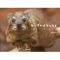 画像をギャラリービューアに読み込む, ケープハイラックス