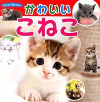 画像をギャラリービューアに読み込む, #永岡書店 #かわいいこねこ :9784522432464