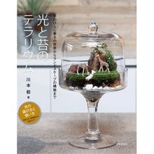 画像をギャラリービューアに読み込む, 光と苔のテラリウム Terrarium of light and moss