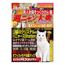 画像をギャラリービューアに読み込む, 週ニャン大衆