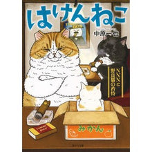 画像をギャラリービューアに読み込む, はけんねこ~NNNと野良猫の矜持~