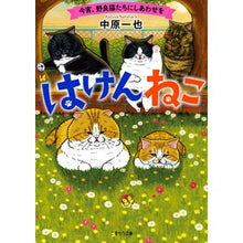 Load image into Gallery viewer, はけんねこ~今宵、野良猫たちにしあわせを